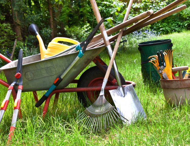 Various gardening tools in the garden background