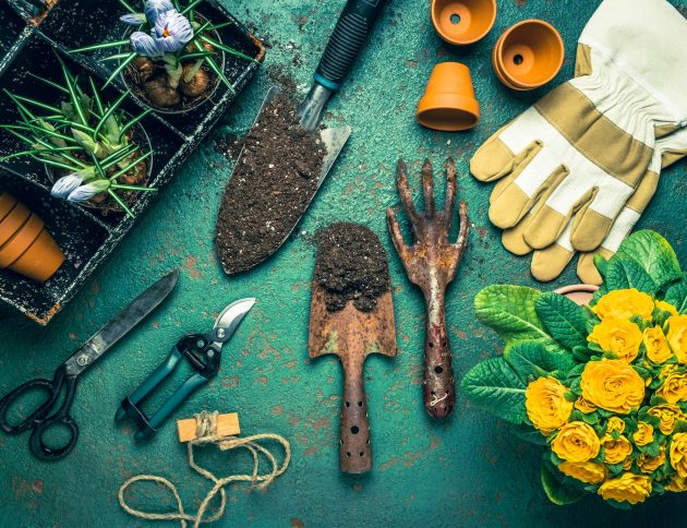 Spring gardening concept - gardening tools with plants, flowerpots and soil