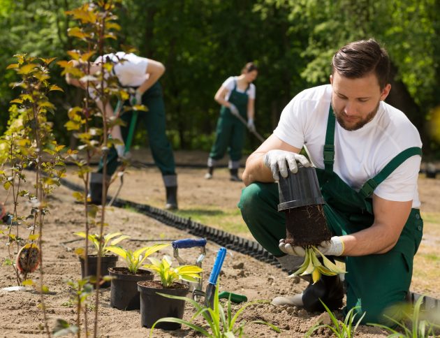 Team of the gardeners digging and weeding the bed